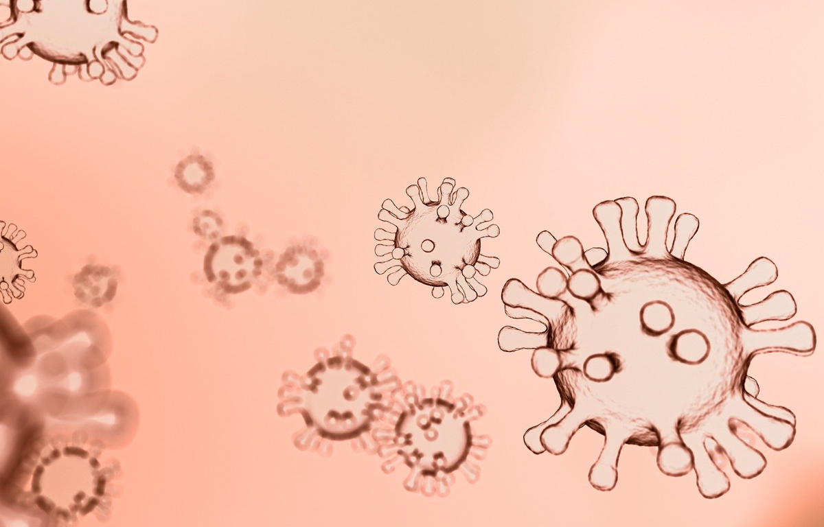 Notizie e informazioni sulla gestione dell’emergenza Covid-19